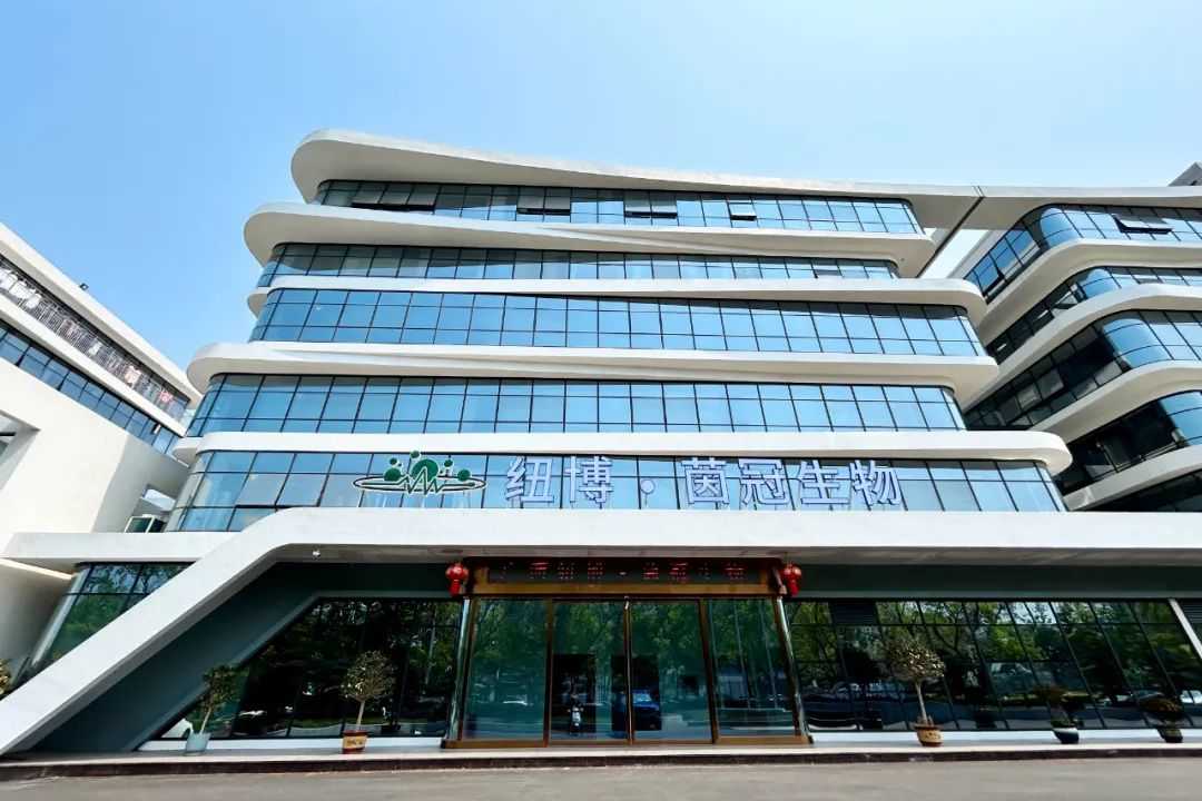 《茵冠攜手神馬文化，共筑生物科技展廳典范》｜干細胞科普館